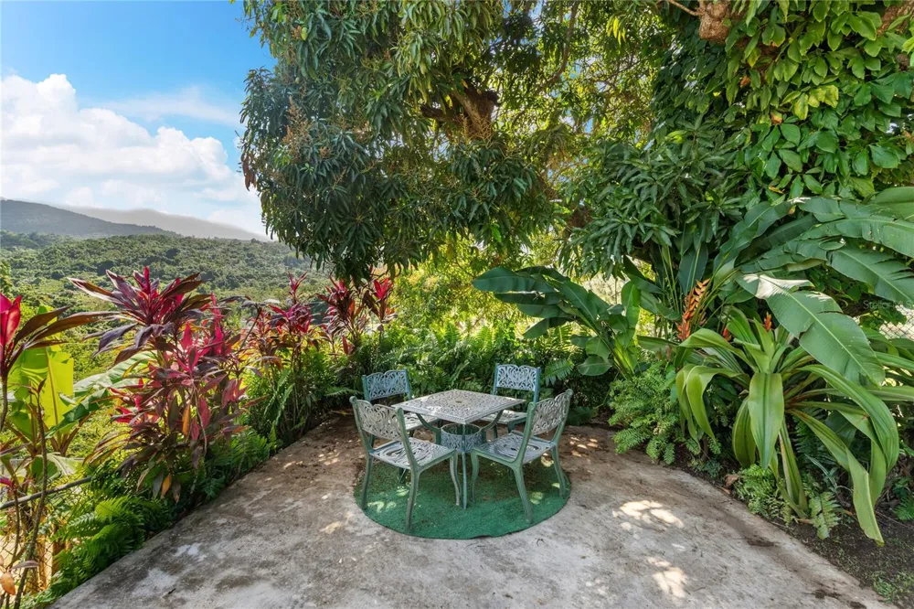 59 REINA ISABEL Rio Grande, PR 00745