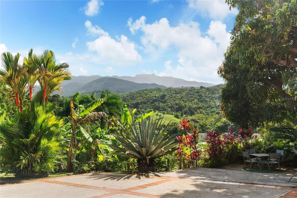 59 REINA ISABEL Rio Grande, PR 00745