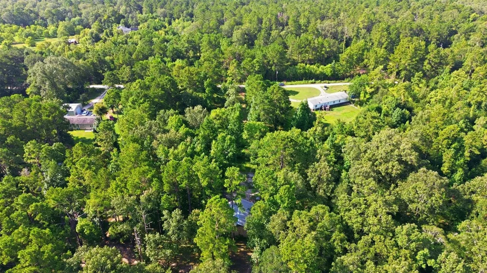 31577 Bohlssen Road New Caney, TX 77357