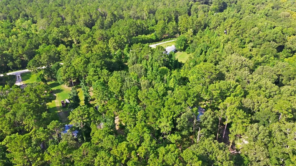 31577 Bohlssen Road New Caney, TX 77357