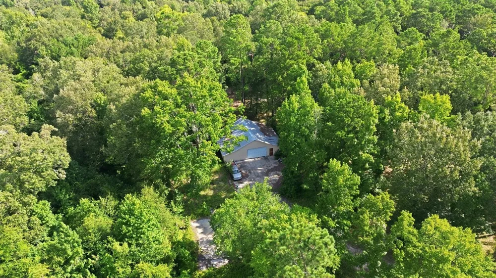 31577 Bohlssen Road New Caney, TX 77357