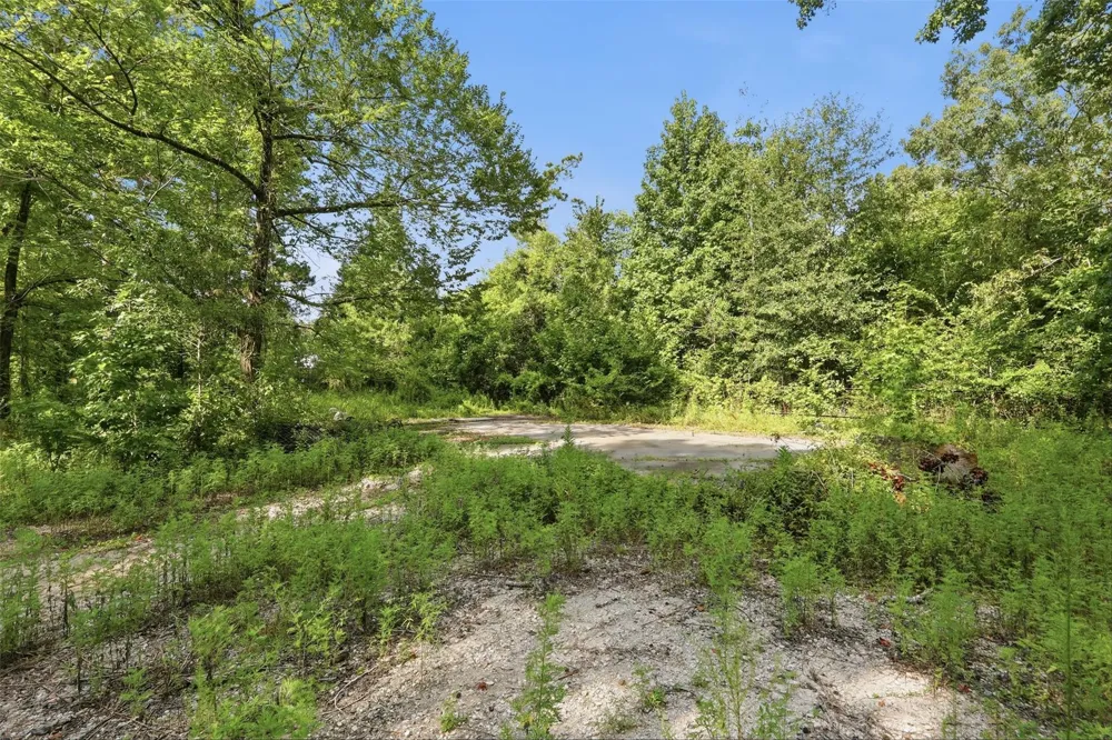 31577 Bohlssen Road New Caney, TX 77357