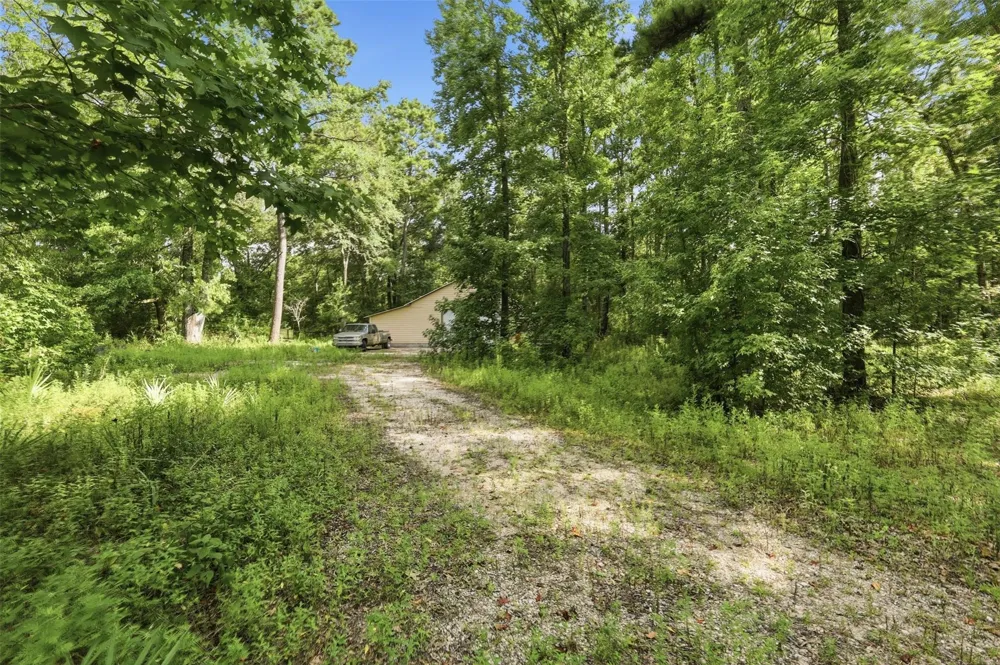 31577 Bohlssen Road New Caney, TX 77357