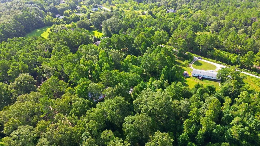 31577 Bohlssen Road New Caney, TX 77357