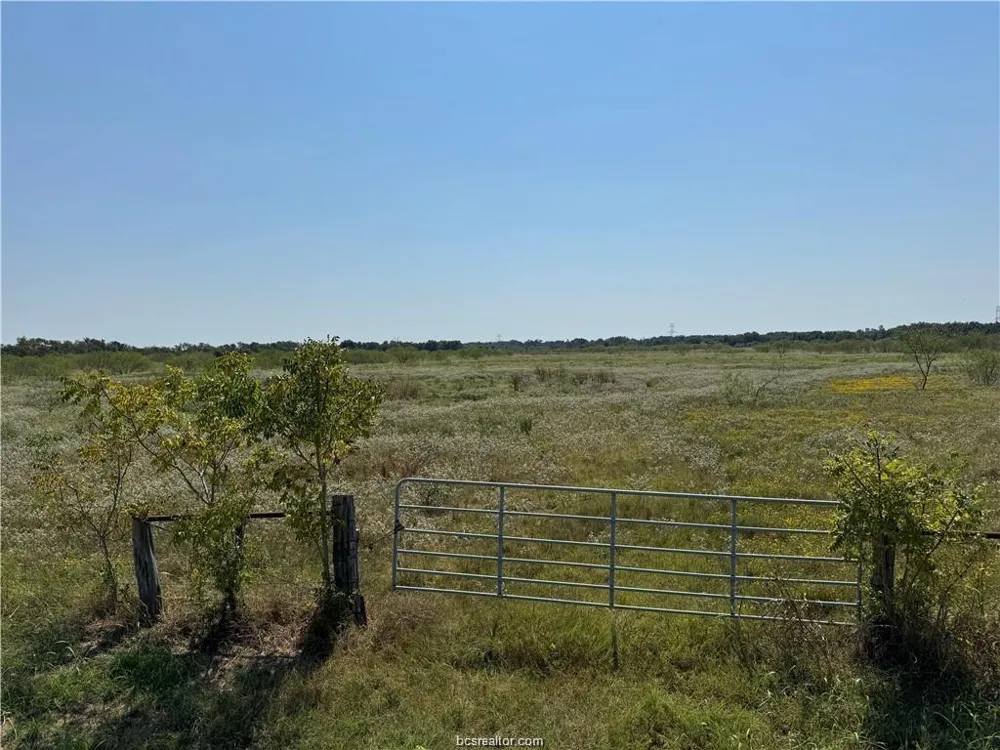 80 Lcr 648 Thornton, TX 76687