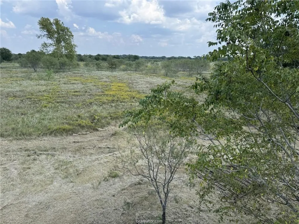 80 Lcr 648 Thornton, TX 76687
