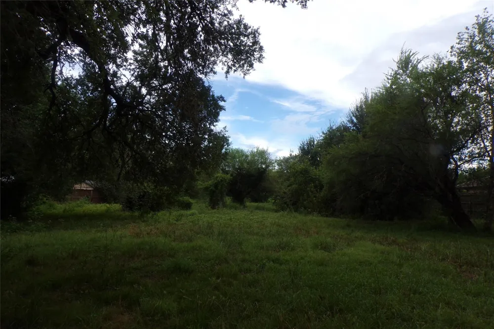 1008 Brooks Avenue Rosenberg, TX 77471