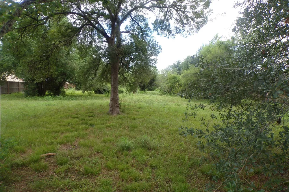 1008 Brooks Avenue Rosenberg, TX 77471