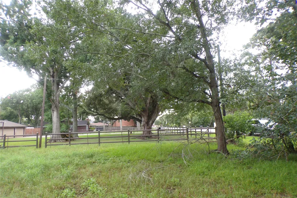 1008 Brooks Avenue Rosenberg, TX 77471