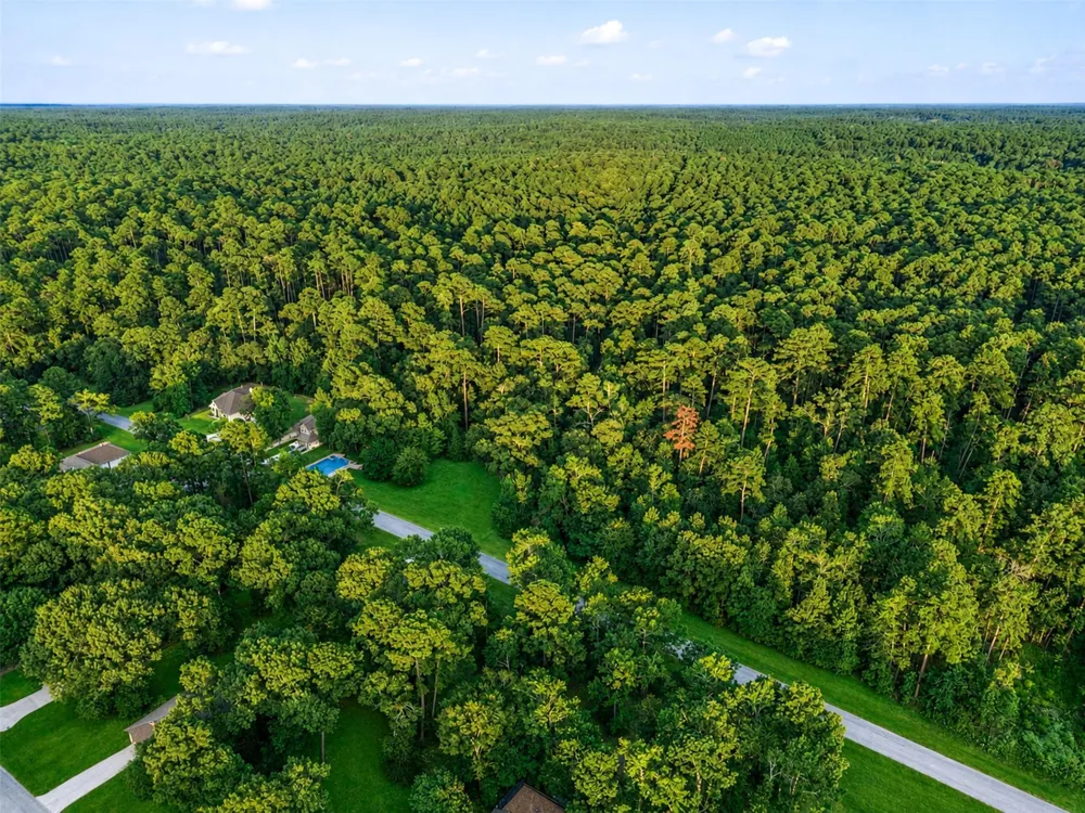100 Forest Drive Huntsville, TX 77340