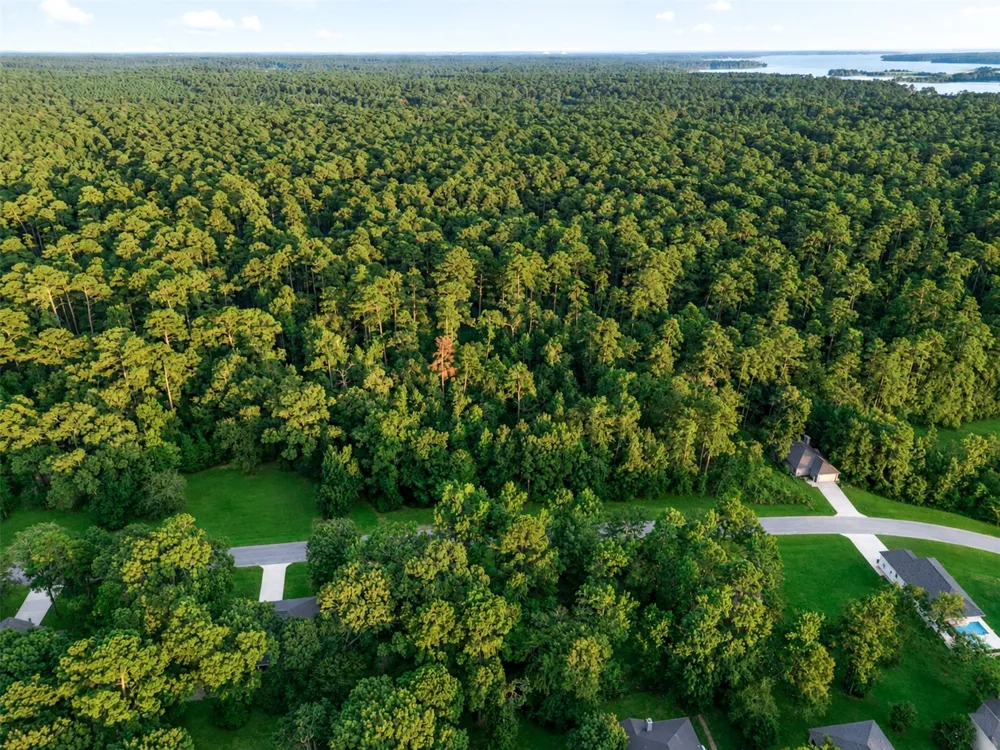 100 Forest Drive Huntsville, TX 77340