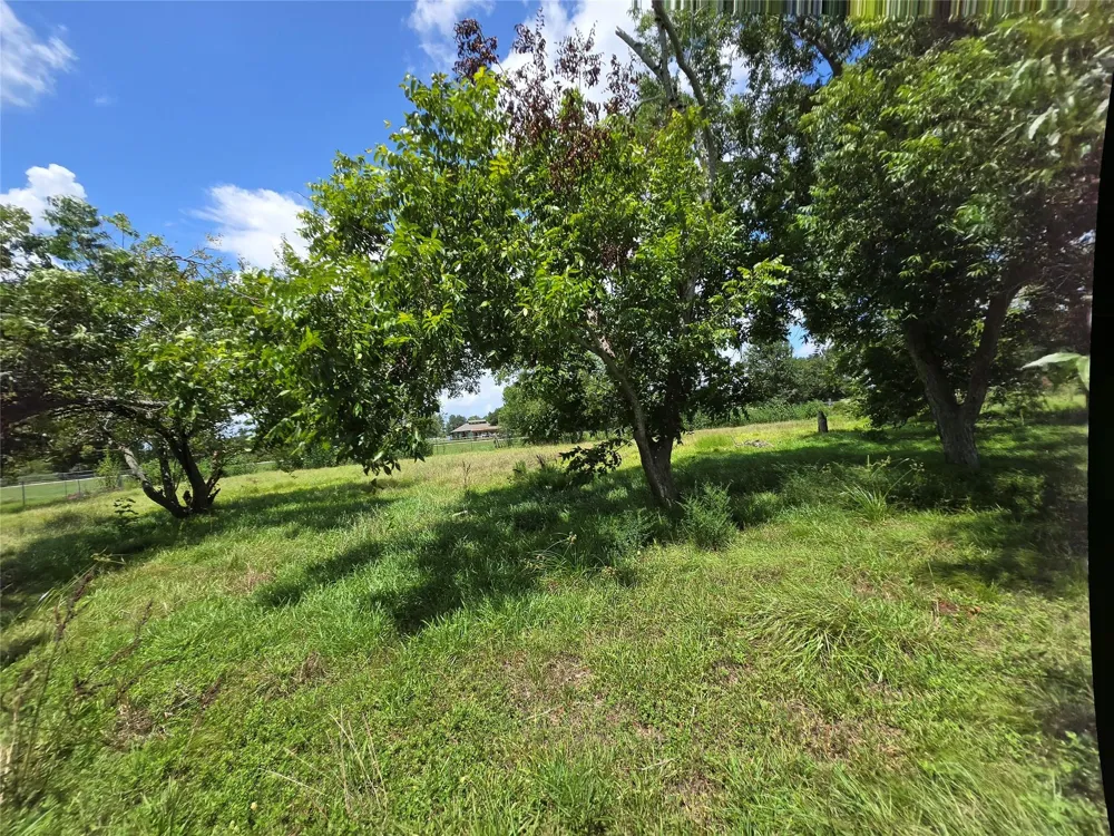 318 County Road 296d Alvin, TX 77511