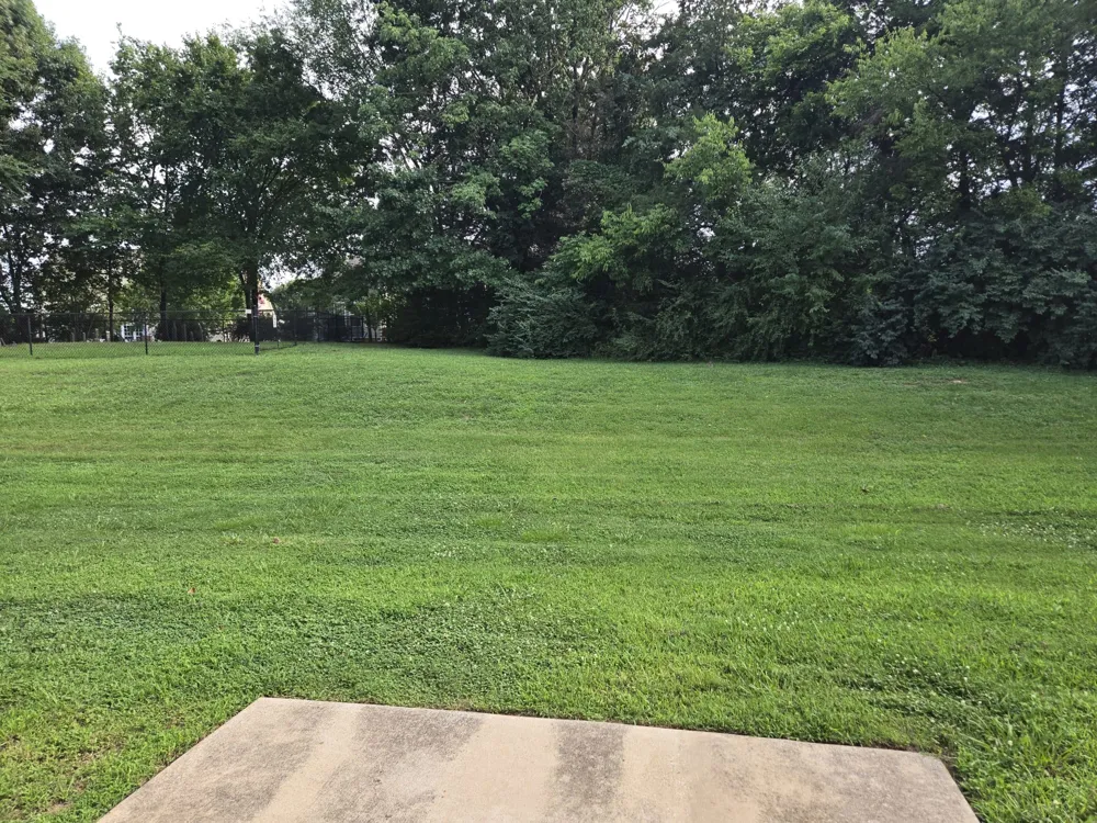 1116 Somerset Springs Dr Spring Hill, TN 37174
