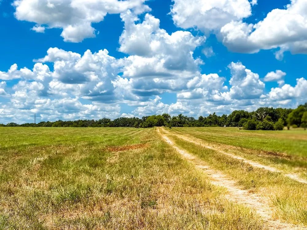 FCR 520 Fairfield, TX 75840