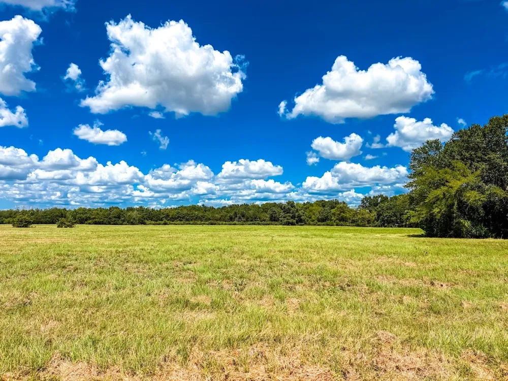 FCR 520 Fairfield, TX 75840