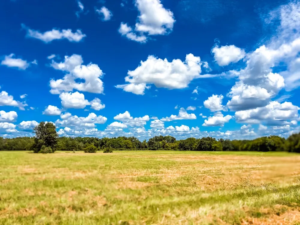 FCR 520 Fairfield, TX 75840