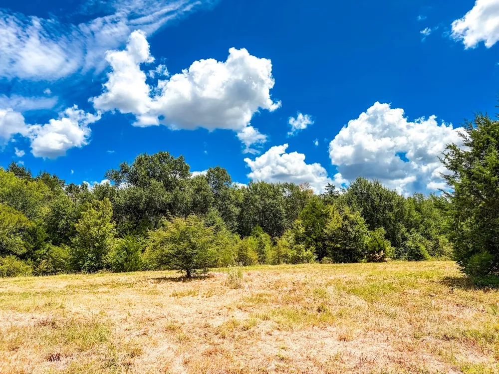 FCR 520 Fairfield, TX 75840