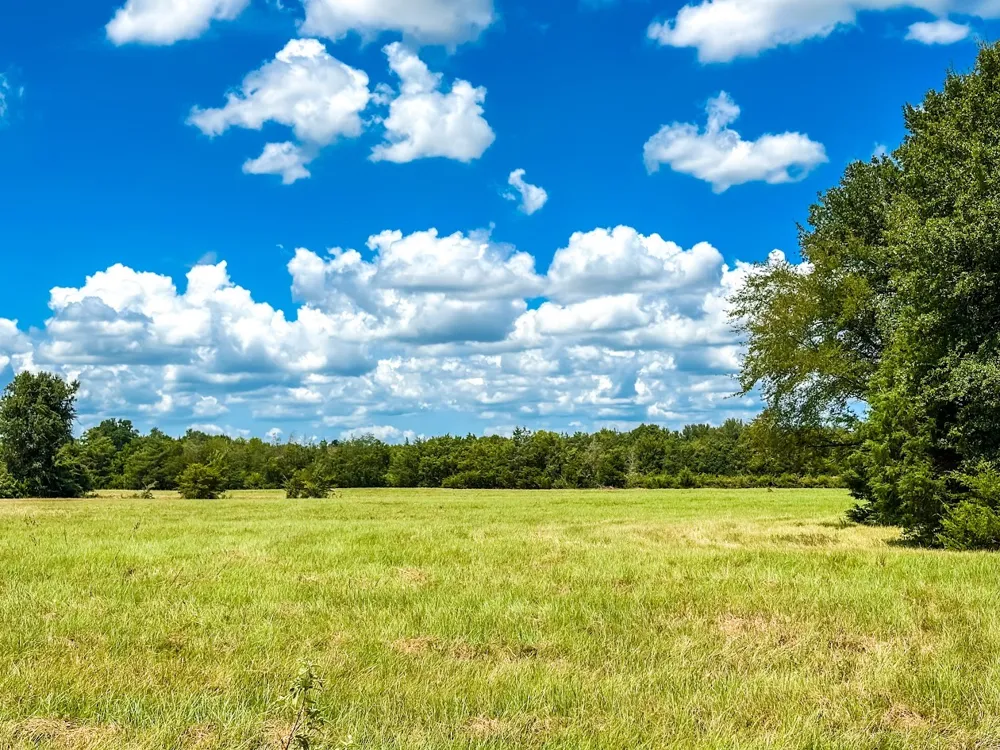 FCR 520 Fairfield, TX 75840