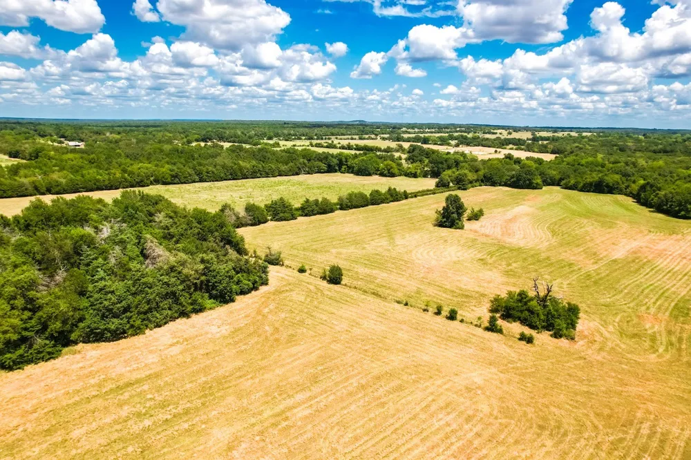 FCR 520 Fairfield, TX 75840
