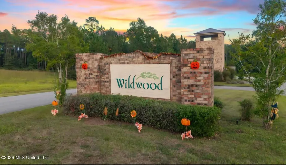 17 Forrest View Drive Carriere, MS 39426