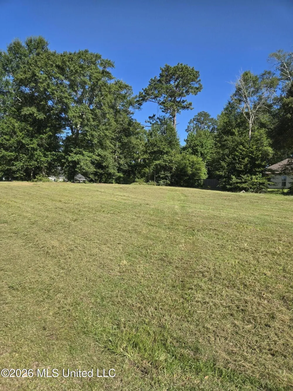 17 Forrest View Drive Carriere, MS 39426