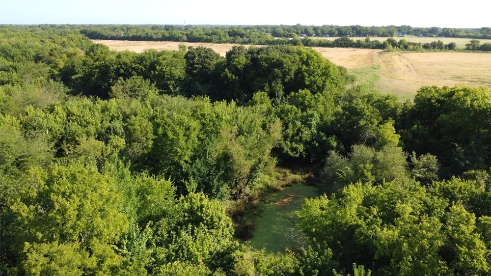 Highway 271 Deport, TX 75435