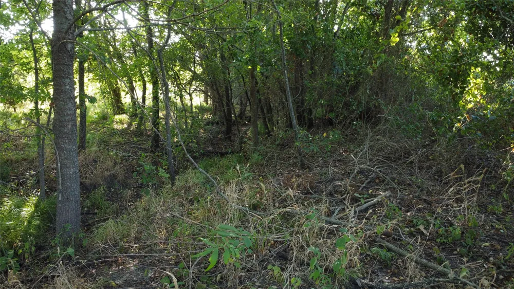 Highway 271 Deport, TX 75435