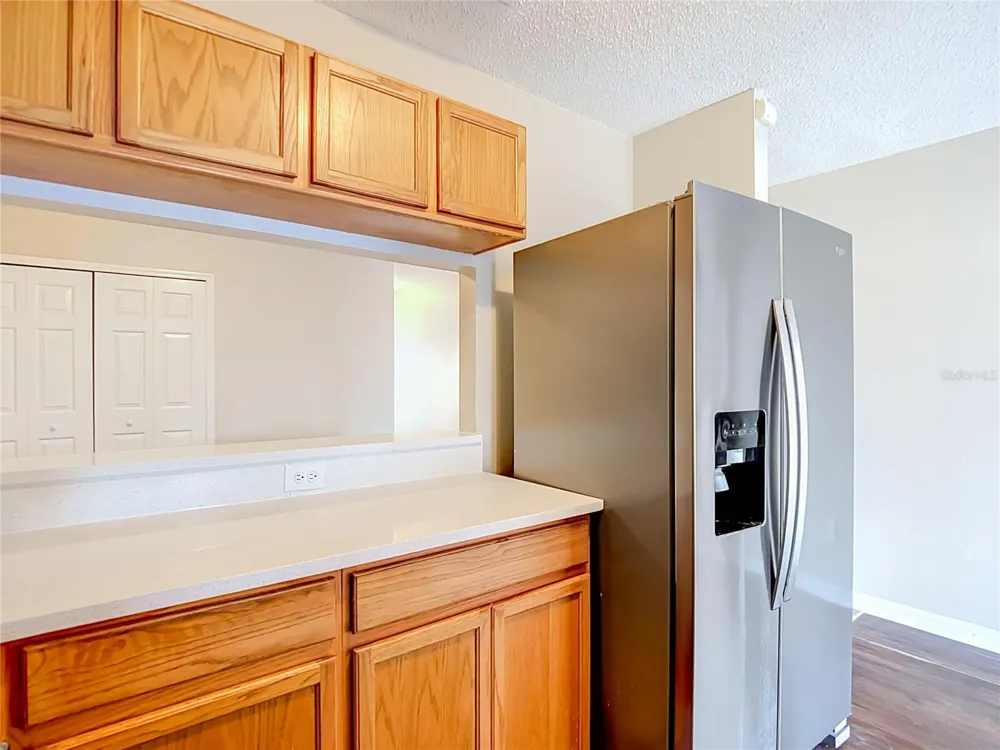 2245 FLUORSHIRE DRIVE Brandon, FL 33511