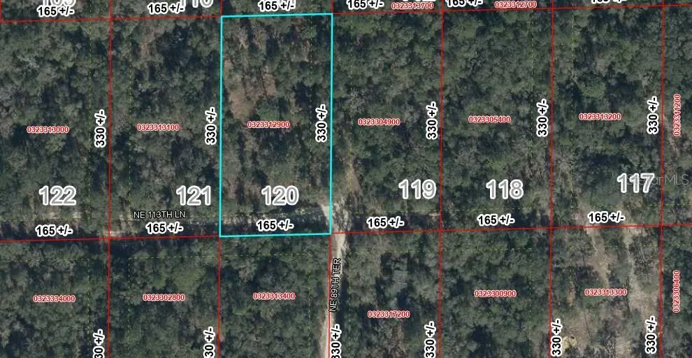 Lot 120 NE 113TH LN Bronson, FL 32621