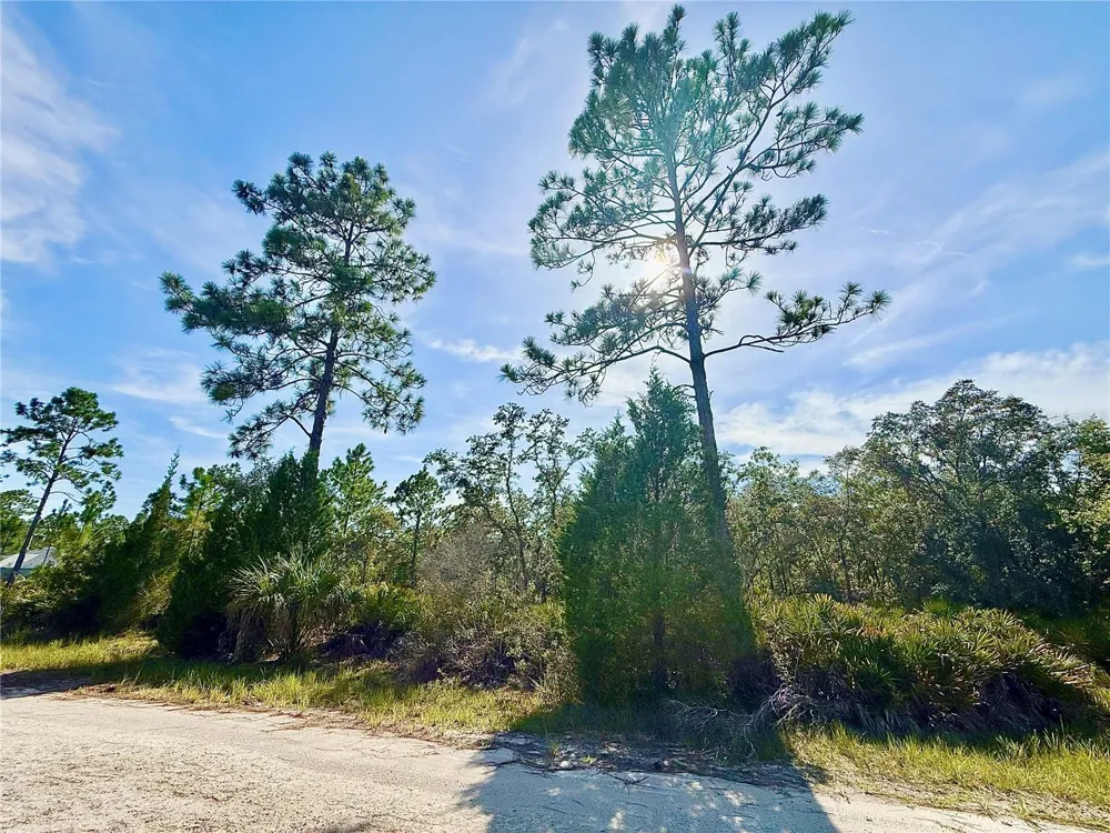 RYDAL ROAD Weeki Wachee, FL 34614