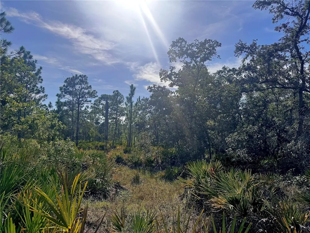 RYDAL ROAD Weeki Wachee, FL 34614