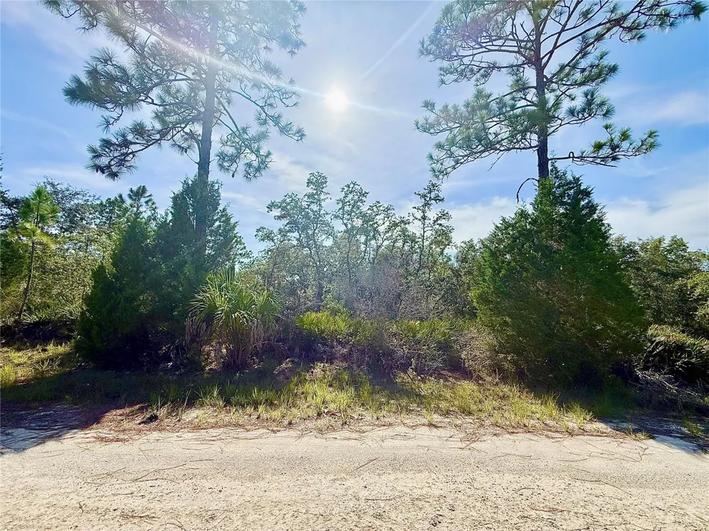 RYDAL ROAD Weeki Wachee, FL 34614