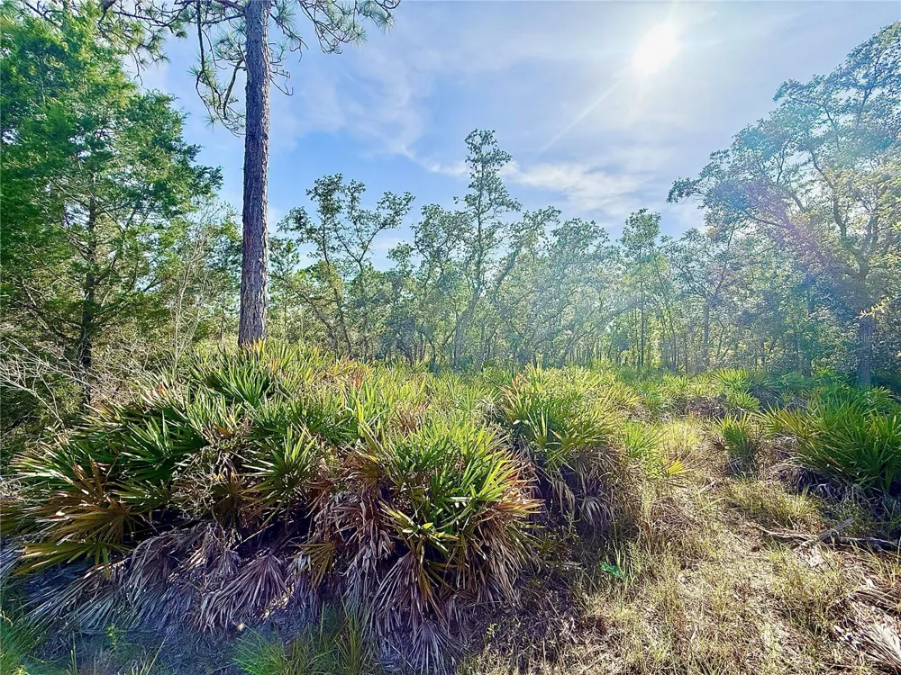 RYDAL ROAD Weeki Wachee, FL 34614