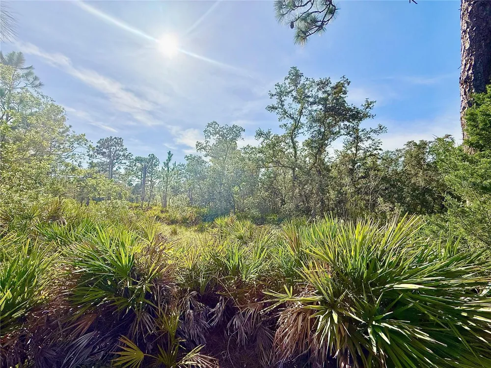RYDAL ROAD Weeki Wachee, FL 34614
