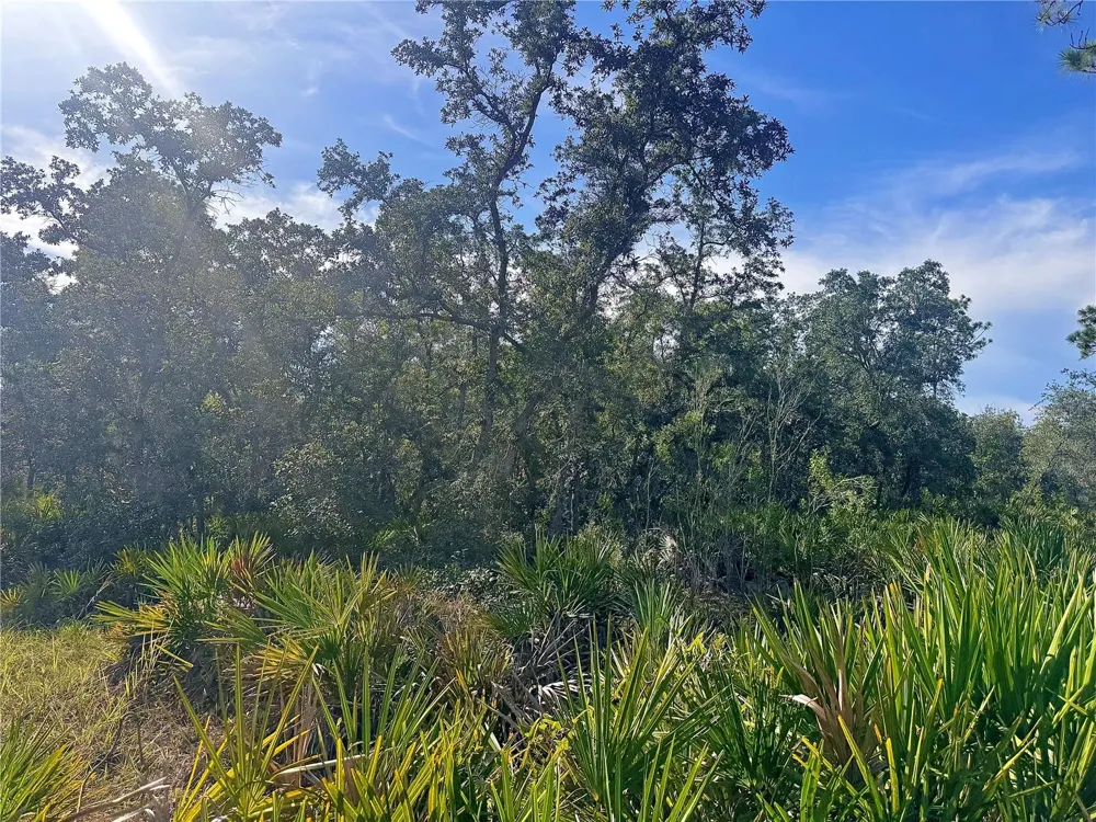 RYDAL ROAD Weeki Wachee, FL 34614