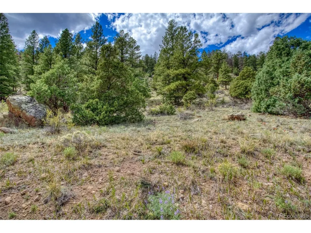 1139 Rio Grande Club Trail South Fork, CO 81154