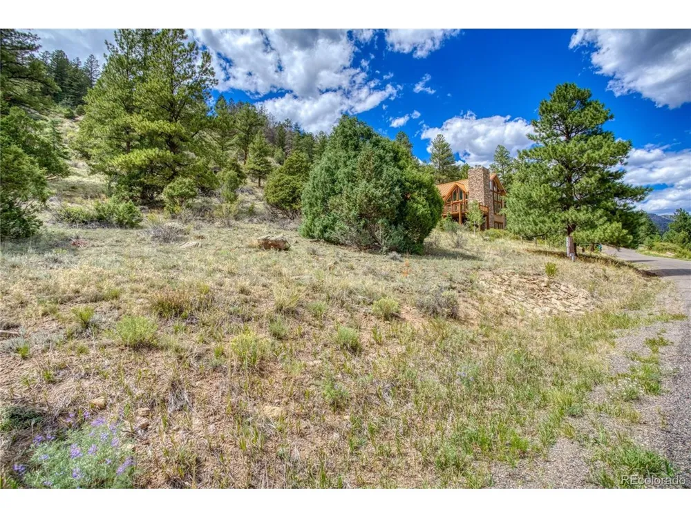 1139 Rio Grande Club Trail South Fork, CO 81154