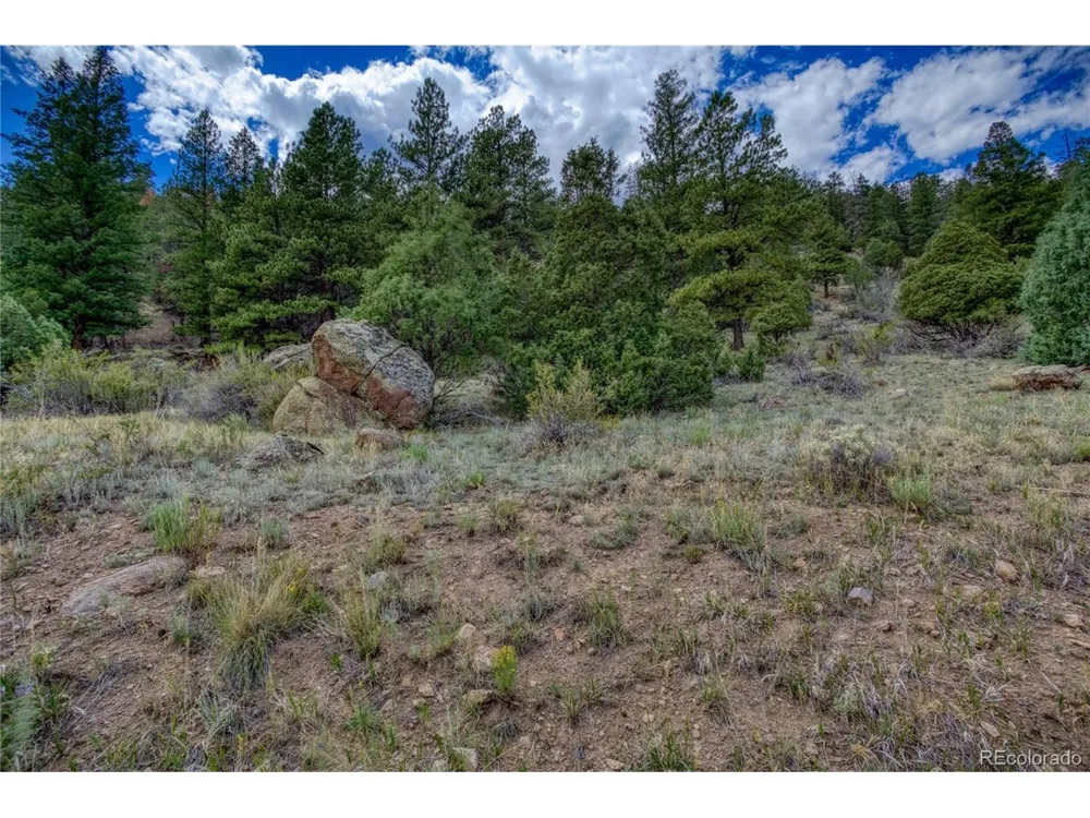 1139 Rio Grande Club Trail South Fork, CO 81154
