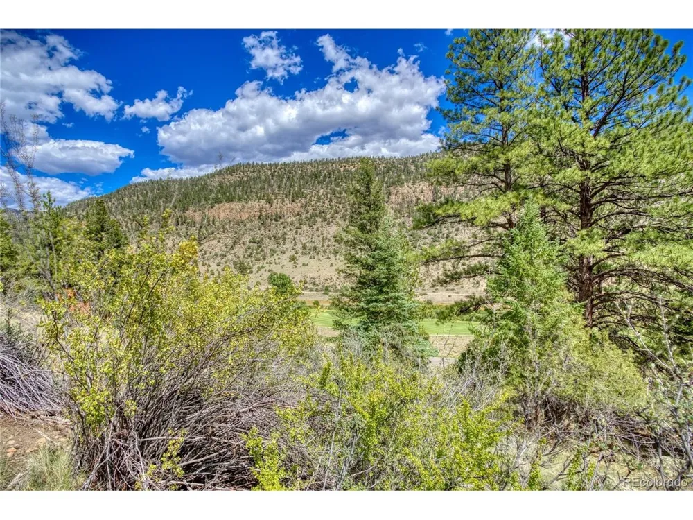 1139 Rio Grande Club Trail South Fork, CO 81154