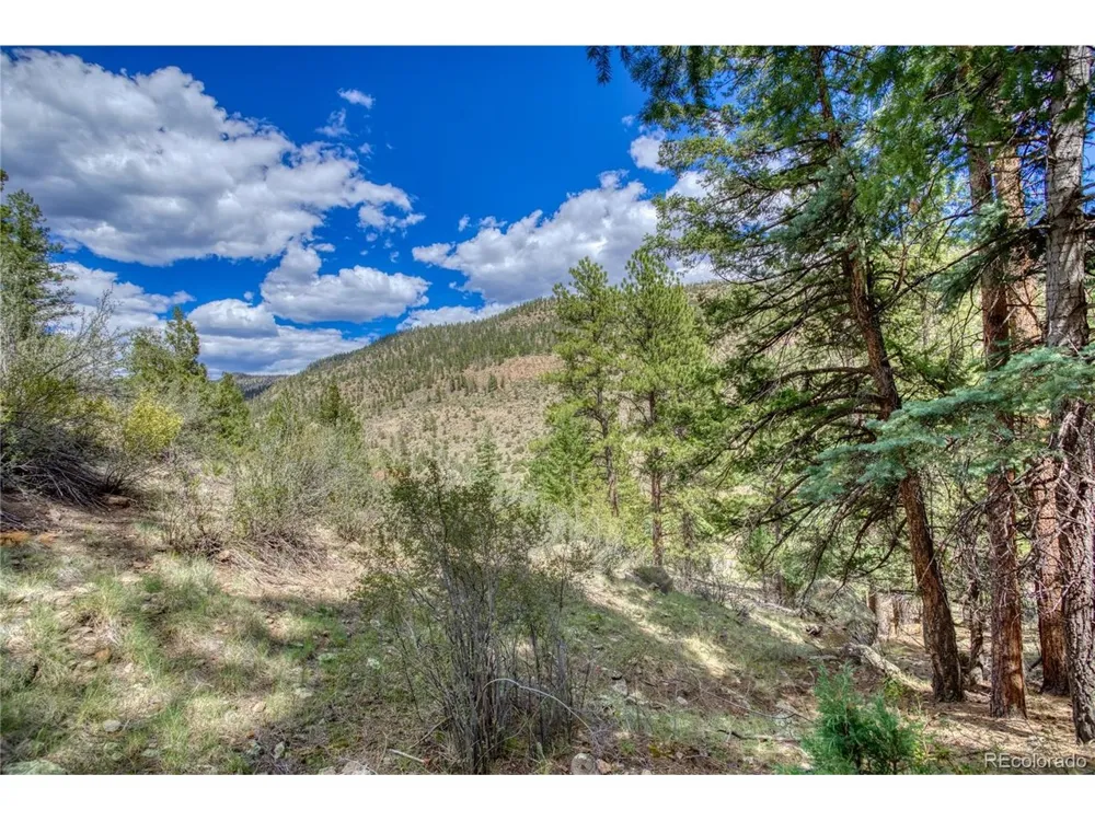 1139 Rio Grande Club Trail South Fork, CO 81154