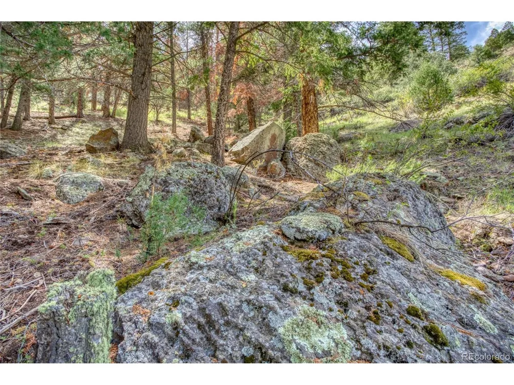 1139 Rio Grande Club Trail South Fork, CO 81154