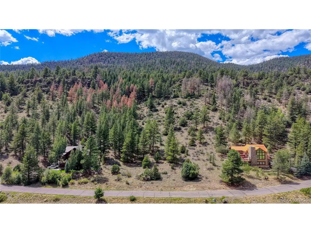 1139 Rio Grande Club Trail South Fork, CO 81154