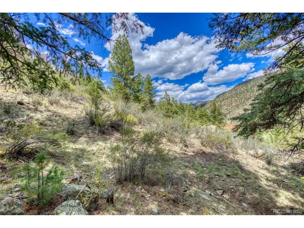 1139 Rio Grande Club Trail South Fork, CO 81154