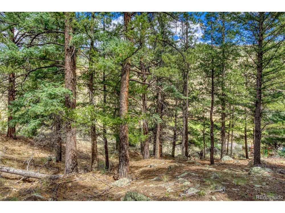 1139 Rio Grande Club Trail South Fork, CO 81154