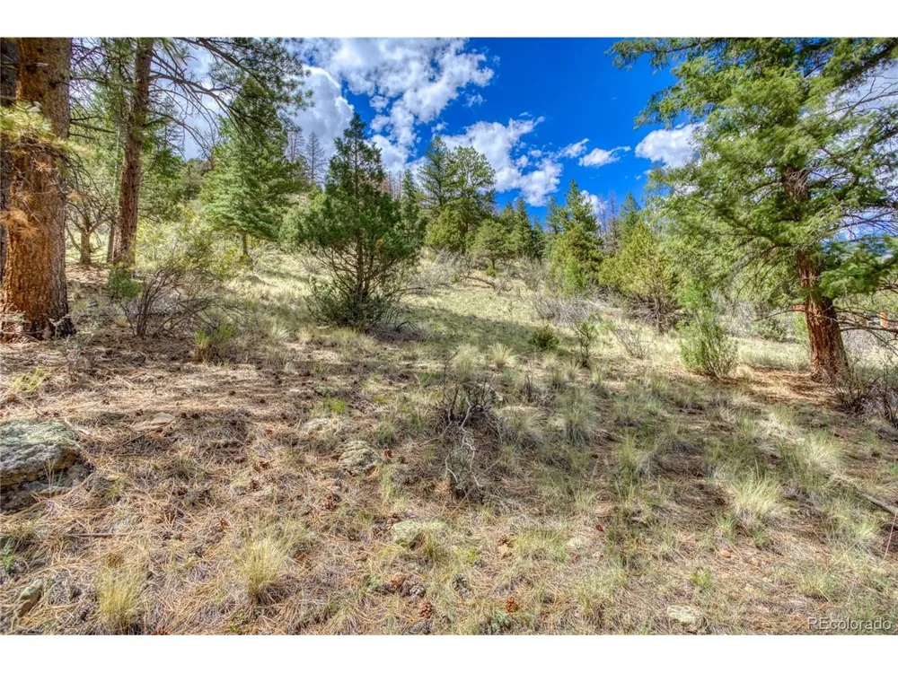 1139 Rio Grande Club Trail South Fork, CO 81154
