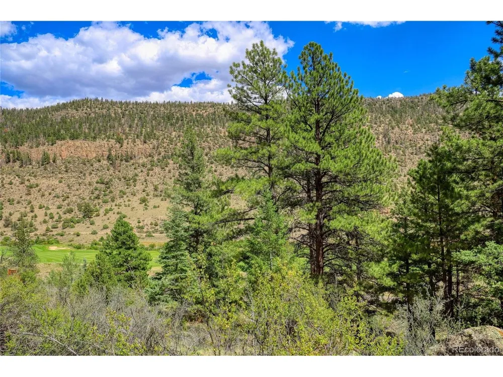 1139 Rio Grande Club Trail South Fork, CO 81154