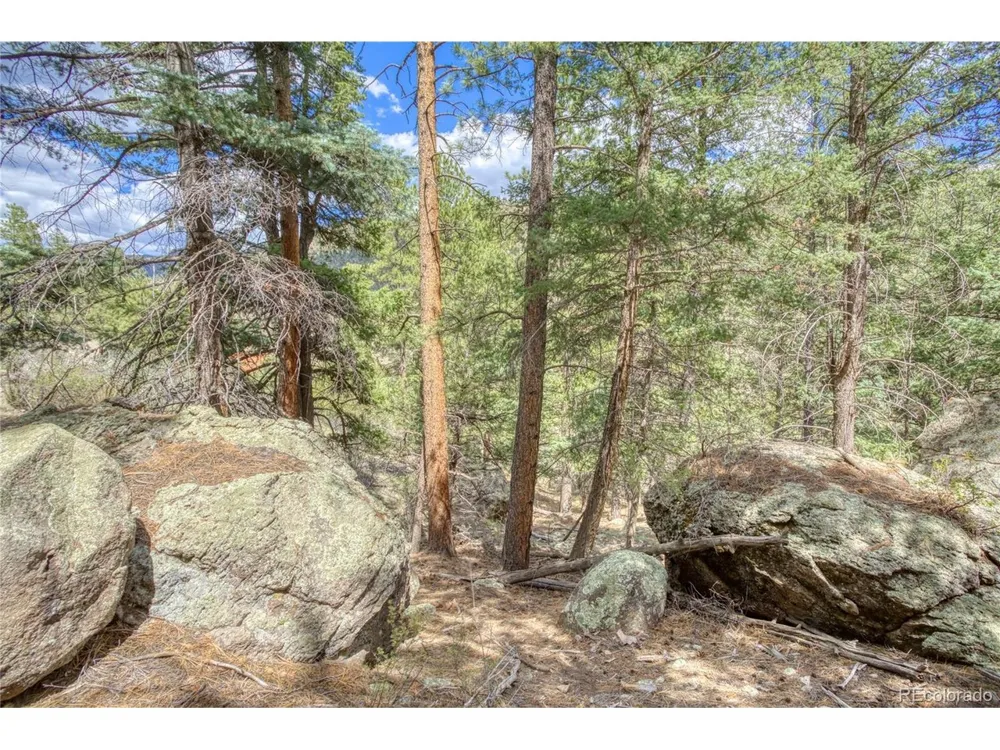 1139 Rio Grande Club Trail South Fork, CO 81154