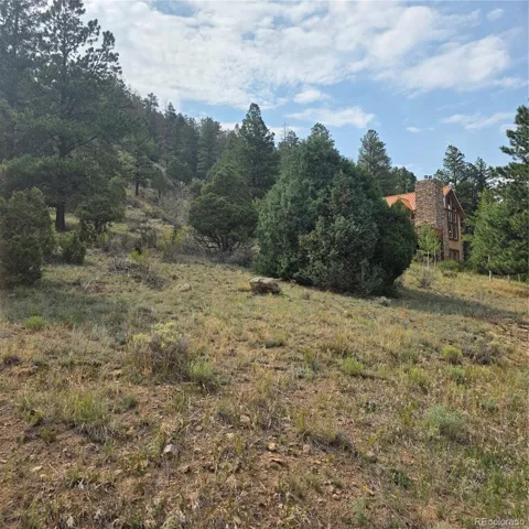 1139 Rio Grande Club Trail