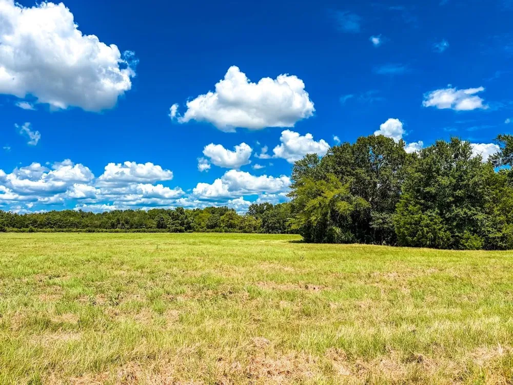 County Road 520 Fairfield, TX 75840