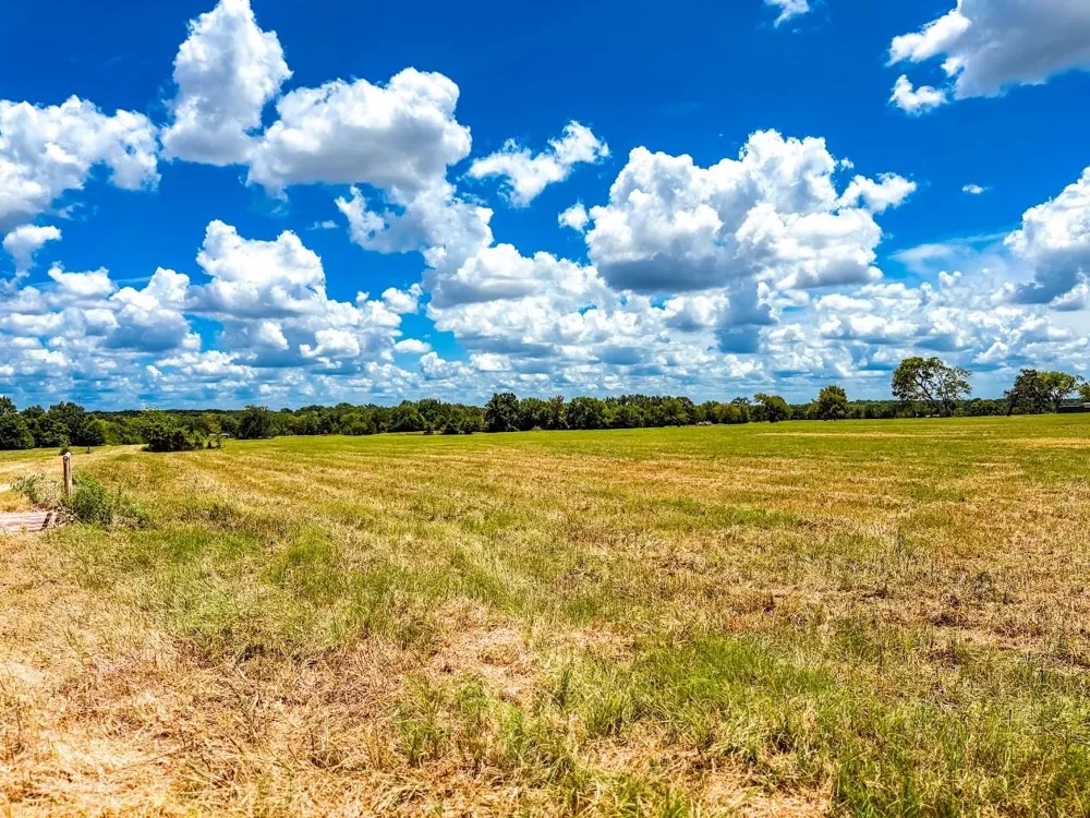 County Road 520 Fairfield, TX 75840